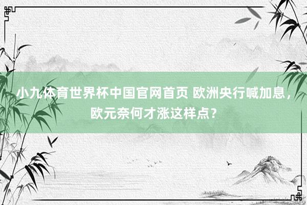 小九体育世界杯中国官网首页 欧洲央行喊加息，欧元奈何才涨这样点？