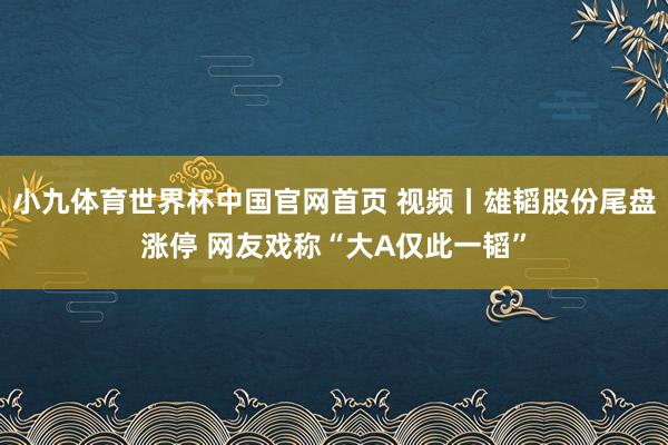 小九体育世界杯中国官网首页 视频丨雄韬股份尾盘涨停 网友戏称“大A仅此一韬”