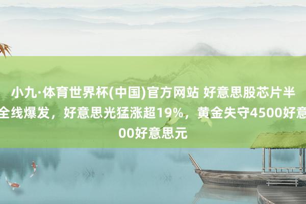 小九·体育世界杯(中国)官方网站 好意思股芯片半导体全线爆发，好意思光猛涨超19%，黄金失守4500好意思元