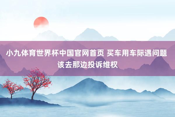 小九体育世界杯中国官网首页 买车用车际遇问题 该去那边投诉维权