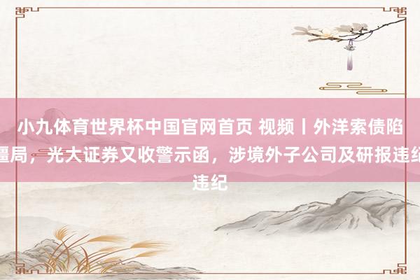 小九体育世界杯中国官网首页 视频丨外洋索债陷僵局，光大证券又