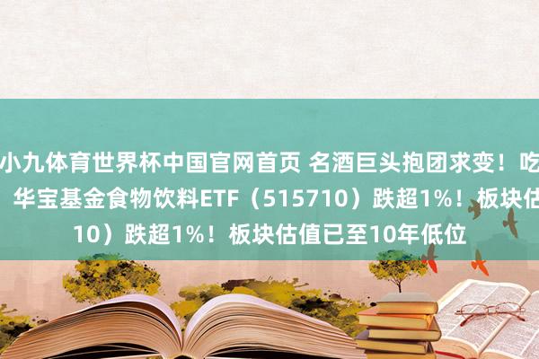 小九体育世界杯中国官网首页 名酒巨头抱团求变！吃喝板块不息寻底，华宝基金食物饮料ETF（515710）跌超1%！板块估值已至10年低位
