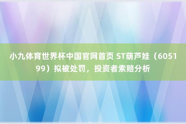 小九体育世界杯中国官网首页 ST葫芦娃（605199）拟被处罚，投资者索赔分析