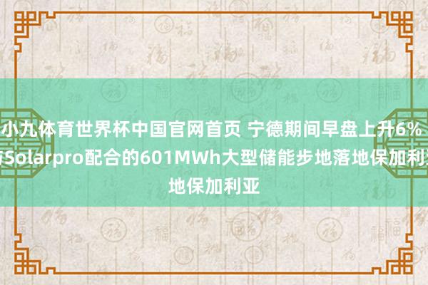 小九体育世界杯中国官网首页 宁德期间早盘上升6% 与Solarpro配合的601MWh大型储能步地落地保加利亚