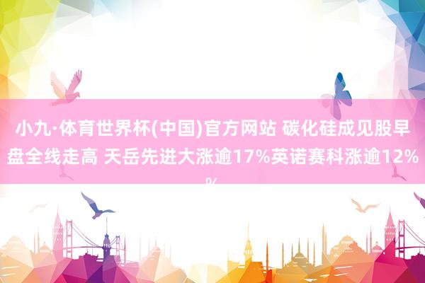 小九·体育世界杯(中国)官方网站 碳化硅成见股早盘全线走高 天岳先进大涨逾17%英诺赛科涨逾12%