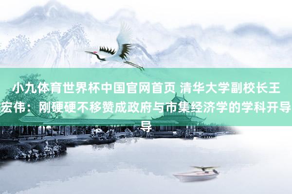 小九体育世界杯中国官网首页 清华大学副校长王宏伟：刚硬硬不移赞成政府与市集经济学的学科开导