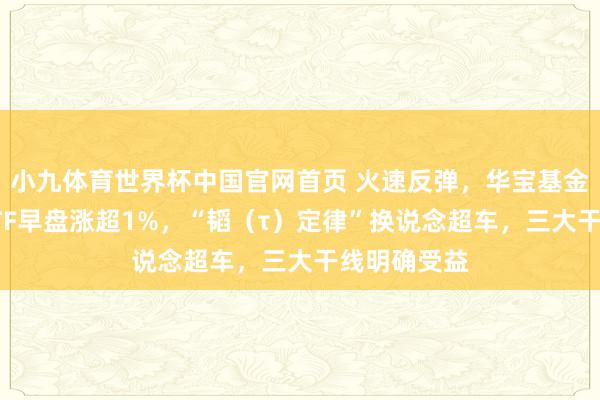 小九体育世界杯中国官网首页 火速反弹，华宝基金科创芯片ETF早盘涨超1%，“韬（τ）定律”换说念超车，三大干线明确受益
