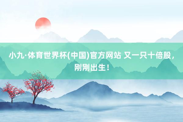 小九·体育世界杯(中国)官方网站 又一只十倍股，刚刚出生！