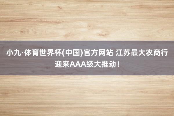 小九·体育世界杯(中国)官方网站 江苏最大农商行迎来AAA级大推动！