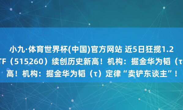 小九·体育世界杯(中国)官方网站 近5日狂揽1.2亿元！华宝基金电子ETF（515260）续创历史新高！机构：掘金华为韬（τ）定律“卖铲东谈主”！
