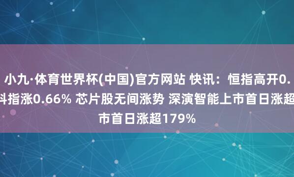 小九·体育世界杯(中国)官方网站 快讯：恒指高开0.04% 科指涨0.66% 芯片股无间涨势 深演智能上市首日涨超179%