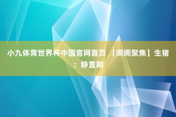 小九体育世界杯中国官网首页 【阛阓聚焦】生猪：静置期