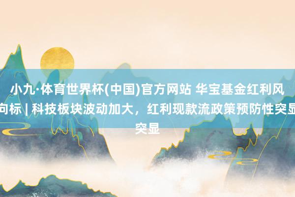 小九·体育世界杯(中国)官方网站 华宝基金红利风向标 | 科技板块波动加大，红利现款流政策预防性突显