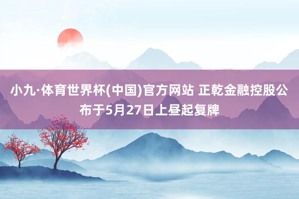 小九·体育世界杯(中国)官方网站 正乾金融控股公布于5月27日上昼起复牌
