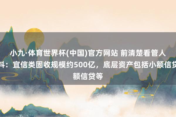小九·体育世界杯(中国)官方网站 前清楚看管人爆料：宜信类固收规模约500亿，底层资产包括小额信贷等
