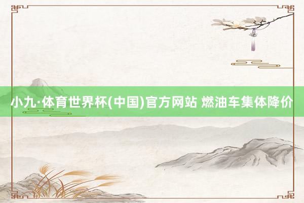 小九·体育世界杯(中国)官方网站 燃油车集体降价