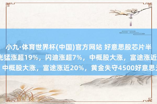 小九·体育世界杯(中国)官方网站 好意思股芯片半导体全线爆发，好意思光猛涨超19%，闪迪涨超7%，中概股大涨，富途涨近20%，黄金失守4500好意思元