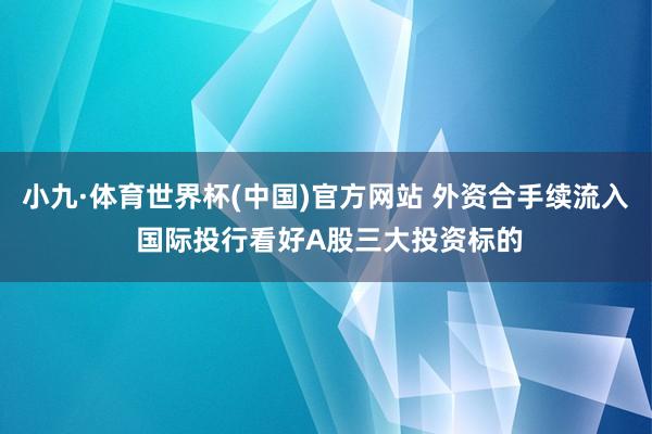 小九·体育世界杯(中国)官方网站 外资合手续流入 国际投行看好A股三大投资标的