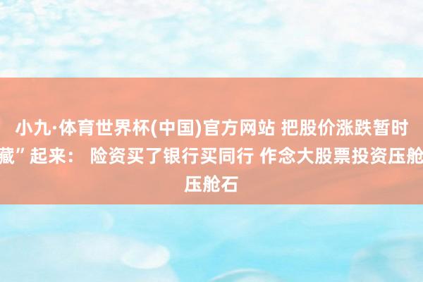 小九·体育世界杯(中国)官方网站 把股价涨跌暂时“藏”起来： 险资买了银行买同行 作念大股票投资压舱石