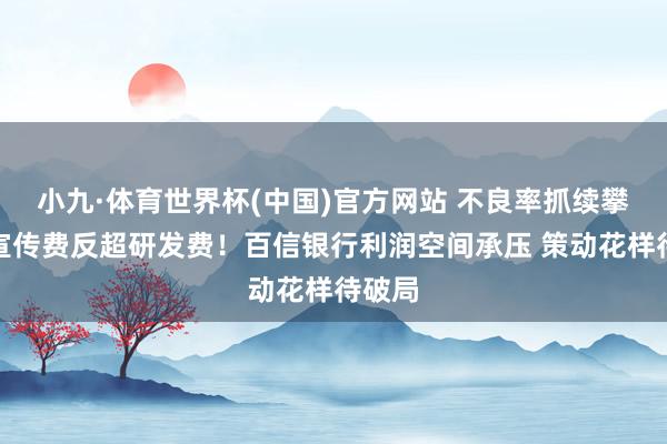 小九·体育世界杯(中国)官方网站 不良率抓续攀升、宣传费反超研发费！百信银行利润空间承压 策动花样待破局