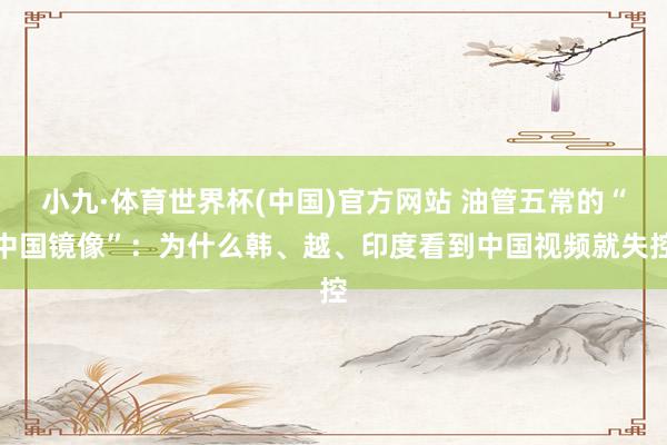 小九·体育世界杯(中国)官方网站 油管五常的“中国镜像”：为什么韩、越、印度看到中国视频就失控