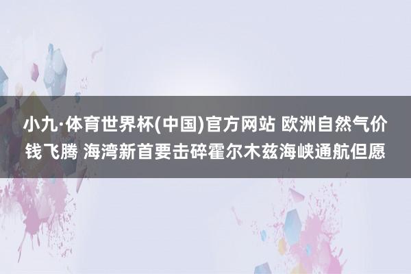 小九·体育世界杯(中国)官方网站 欧洲自然气价钱飞腾 海湾新首要击碎霍尔木兹海峡通航但愿