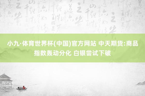 小九·体育世界杯(中国)官方网站 中天期货:商品指数轰动分化 白银尝试下破