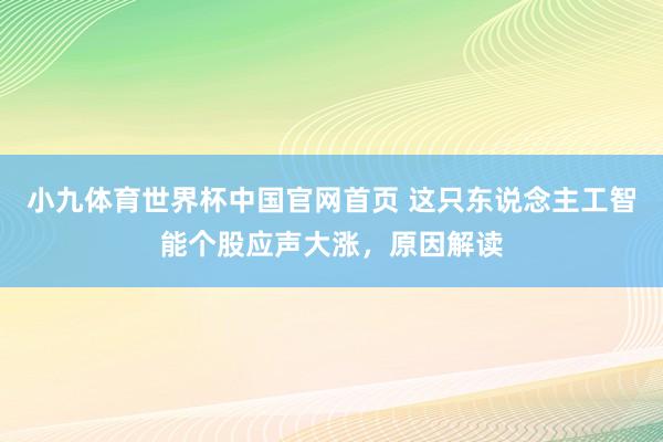小九体育世界杯中国官网首页 这只东说念主工智能个股应声大涨，原因解读