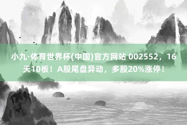 小九·体育世界杯(中国)官方网站 002552，16天10板！A股尾盘异动，多股20%涨停！