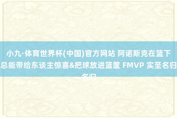 小九·体育世界杯(中国)官方网站 阿诺斯克在篮下总能带给东谈主惊喜&把球放进篮筐 FMVP 实至名归