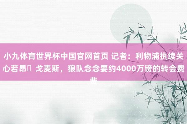 小九体育世界杯中国官网首页 记者：利物浦执续关心若昂・戈麦斯，狼队念念要约4000万镑的转会费