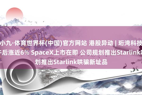 小九·体育世界杯(中国)官方网站 港股异动 | 珩湾科技(01523)午后涨近6% SpaceX上市在即 公司规划推出Starlink哄骗新址品