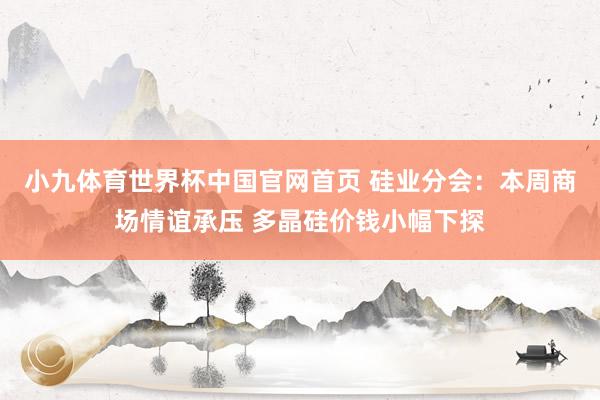 小九体育世界杯中国官网首页 硅业分会：本周商场情谊承压 多晶硅价钱小幅下探