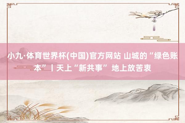 小九·体育世界杯(中国)官方网站 山城的“绿色账本”丨天上“新共事” 地上放苦衷