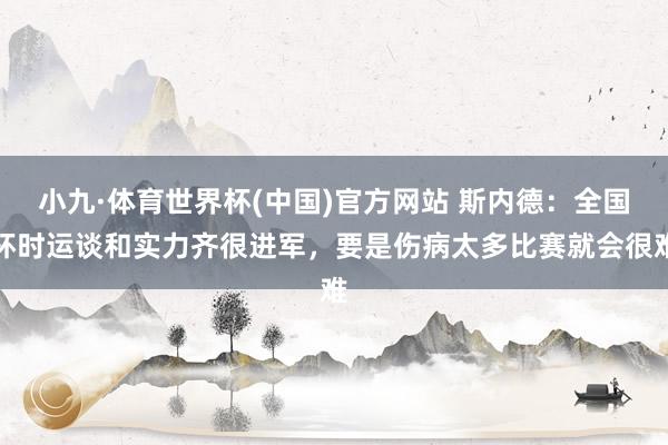 小九·体育世界杯(中国)官方网站 斯内德：全国杯时运谈和实力齐很进军，要是伤病太多比赛就会很难