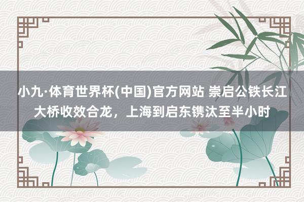 小九·体育世界杯(中国)官方网站 崇启公铁长江大桥收效合龙，上海到启东镌汰至半小时