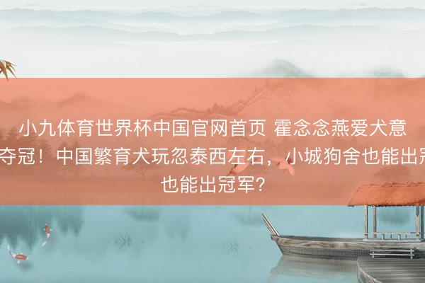 小九体育世界杯中国官网首页 霍念念燕爱犬意大利夺冠！中国繁育犬玩忽泰西左右，小城狗舍也能出冠军？