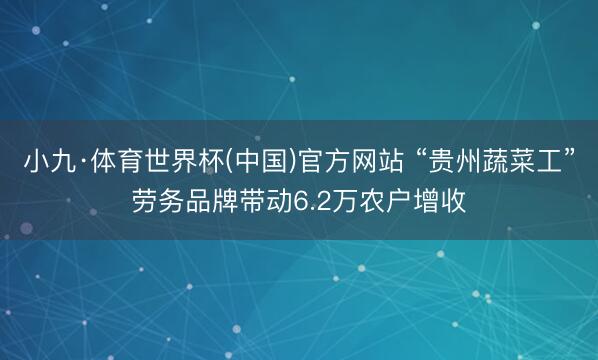 小九·体育世界杯(中国)官方网站 “贵州蔬菜工”劳务品牌带动6.2万农户增收