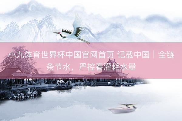 小九体育世界杯中国官网首页 记载中国｜全链条节水，严控春灌耗水量