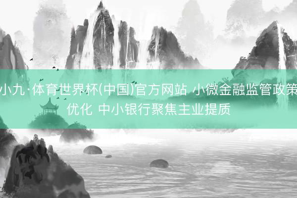 小九·体育世界杯(中国)官方网站 小微金融监管政策优化 中小银行聚焦主业提质