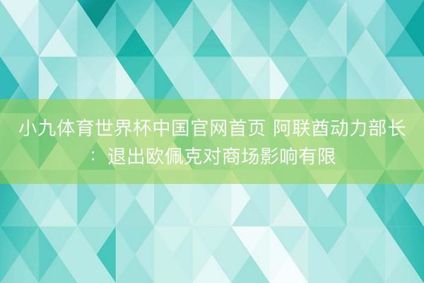 小九体育世界杯中国官网首页 阿联酋动力部长：退出欧佩克对商场影响有限