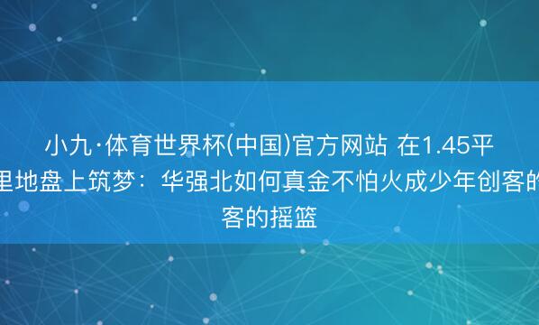 小九·体育世界杯(中国)官方网站 在1.45平素公里地盘上筑梦:华强北如何真金不怕火成少年创客的摇篮