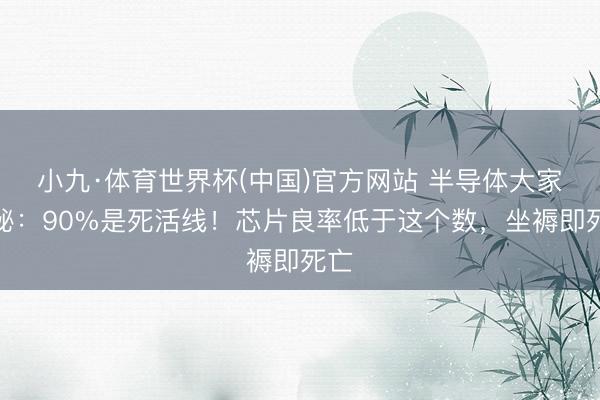 小九·体育世界杯(中国)官方网站 半导体大家揭秘:90%是死活线!芯片良率低于这个数,坐褥即死亡
